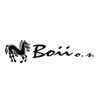 Boii o.s.